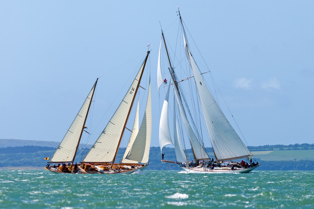 royal yacht squadron members regatta